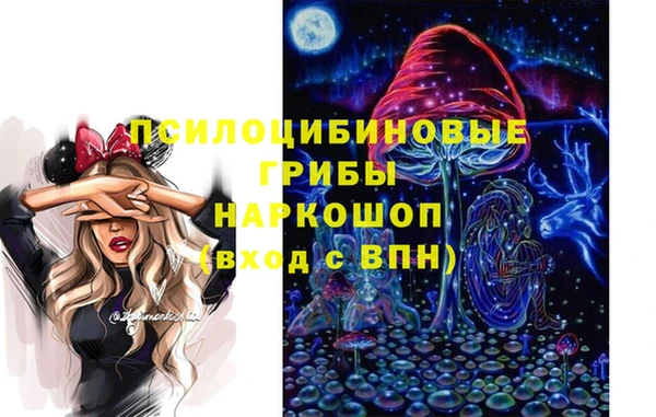 ешки Арсеньев