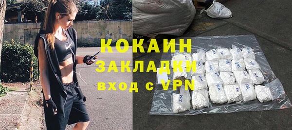 прущие грибы Аркадак